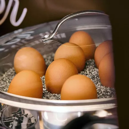 Flensburg-city 酒店 弗伦斯堡